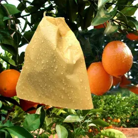 Houwana 766779137735 Fruit Protection Paper Bags 100pcs 6.2x7.7inch Suitable For 16x19.8 Ivory