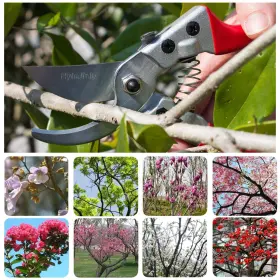Hylejhjy 431237563570 Pruning Shears With Stainless Sk5 Steel Blades Straight Tip Gardening #2