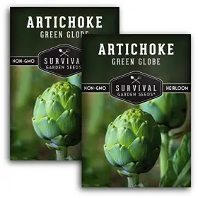 Jd Hardware Llc Sgsartichokegreenglobe-2 Green Globe Artichoke Seeds For Planting - Heirloom Perennial Vegetable 2
