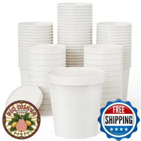 B09lyw4wky Jolly Party 50pack 16oz Paper Soup Containers With Lids Disposable Food C