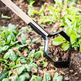 1228770 Lanco Tools Push Pull Hoe V Blade For Deep Roots And Better Cultivating Usa Made #2