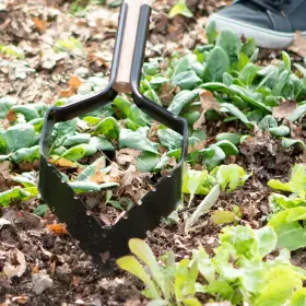 1228770 Lanco Tools Push Pull Hoe V Blade For Deep Roots And Better Cultivating Usa Made #3