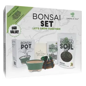 Leaves And Soul 850022590368 Complete Bonsai Set - Small Green Oval Pot With Soil Fertilizer Pelle