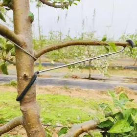 Leilinlife Spreader20 Fruit Tree Branch Limb Spreader 20pcs 10 Inches