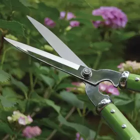 Mts-jhs1 Martha Stewart Japanese Stainless Steel Hedge Shears With Hardwood Handles