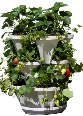 1303-hg Mr. Stacky 3 Tier Stackable Garden Indoor Outdoor Vertical Planter Set Self Watering Tie