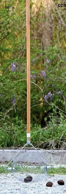 Nut Wizard Nw-17 Large Black Walnut Picker Upper Fruit Roller