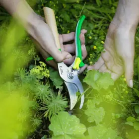 001628 Opinel Hand Pruner Shears Stainless Blades Green Beech Handle - Brand New