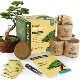 Planters Choice 943823155013 Bonsai Starter Kit - Gardening Gift For Women And Men Tree Growing Gar