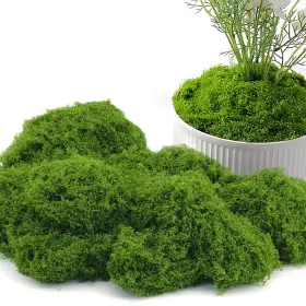 Xl-tx001xl Potanro Faux Green Moss 5.3oz Artificial Fake Plant For Dark