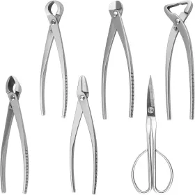 Bo-p001 Ppkbbeb 6 Pcs Bonsai Pruning Tool Set Different Roles Of Scissors To Meet All The Nee