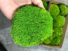 Szyd-1 Prefleur Preserved Pole Moss Pillow Bun Cushion Natural Green 1.5 Sq.ft. Green-b