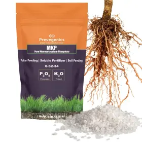 Mkp-1ib Prevegenics Monopotassium Phoshpate Mkp Fertilizer 0-52-34 Highly Water Soluble Sup