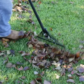 10000-03684 Razor-back 2pc Landscaping Rake 68.25 Inch H Fan Shape 24tine Steel Fiberglass Handle #2