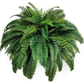 Silk Tree Warehouse B00b4hxpmi One 48 Inch 88 Branch Artificial Boston Fern Bush Plant Arrangement