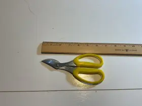 74-430 Stanley Vintage Pruning Shears