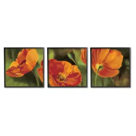Stupell Industries 197081923721 Wild Poppy Blooms Flower Garden 3pc Framed Giclee Art Set Design By Pierre V