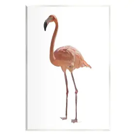 Stupell Industries 197658522821 Minimal Flamingo Bird Wall Plaque Art Design By Amelia Noyes