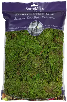 25322 Supermoss 59834 Forest Moss Preserved 200 In3 Bag Appx. 8oz Fresh Green