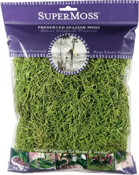26907 Supermoss 59834 Spanish Moss Preserved Grass 4oz 120 Cubic In Bag