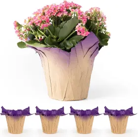 The Florist Supply 810075249736 6 Inch Aza Plant Pot Covers Fsc Certified Recycled Kraft Paper Purple