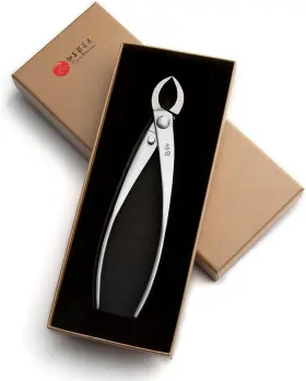 Mt-se-205 Tianbonsai Tools Company Bonsai Straight Edge Cutter Professional Grade Branch Alloy Steel