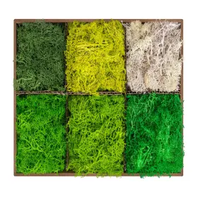 Moss-16.9 Tmovjxv 747749294924 6 Colors Preserved Oz Natural Reindeer Moss-moss For Crafts