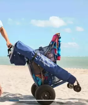 735645 Tommy Bahama Folding All Terrain Beach Cart 41ftft - Blue