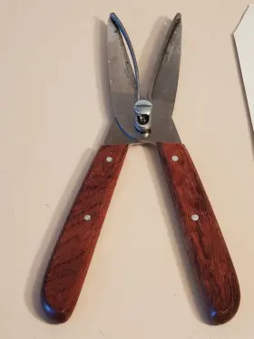 5500017 Victorinox Flower And Grape Gatherer Fruit Tree Shears Scissors Secateur. Tested #2