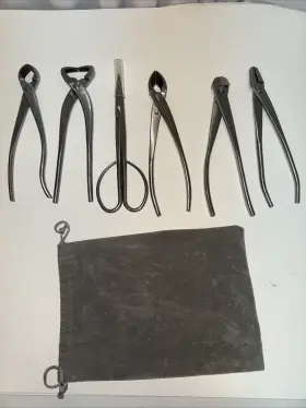 Vouiu 755326411251 6-piece Bonsai Tool Set Knob Cutter Trunk Splitter Concave Wire