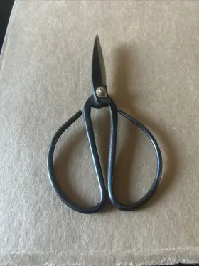 Wazakura 589743094478 Bonsai Cutting Scissors. Used. Cut Very Good #2