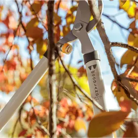 Woodland Tools 810081110198 Co. 28 Inch Regular Duty Bypass Lopper Branch Cutter Limb Trimme #3