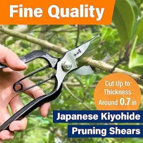 Yamasan Kyoto Uji 589859988661 Japanese Kiyohide Pruning Shears - Professional Garden Bypass Pruners #2