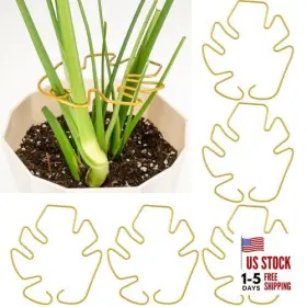 Yn-gbz-g-5l Yncotte Monstera Plant Support 5 Pack Supports For Indoor Plants Metal 6.7 7/5
