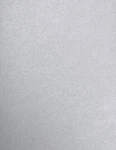 Luxpaper 8.5X11 Silver Metallic Cardstock 105LB Cover (192GSM) 50 Sheets. Fixed Price $54.96.