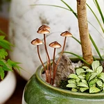 Metal Mushroom Garden Stakes - Outdoor Spring Yard Art Flower Bed Decor. Fixed Price $19.99.