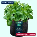 Flora 5-GALLON Thickened 300G Nonwoven Fabric Grow Bags For Plants, Heavy-duty. Fixed Price $9.36.