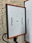 Freelicht Led Lights 100W Read*** Fast Shipping. Fixed Price $35.99.