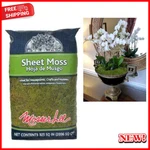 325 Sq Bag Of Sheet Moss Soil Cover Decorative For Interior Houseplants. Fixed Price $8.89.