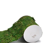 Roll Of Green Moss For Fairy Gardens Wedding Other Arts And Crafts (10X120CM .... Fixed Price $14.95.
