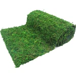 Faicoia Moss Table Runner Dried Roll For Crafts Fairy Gardens Wedding. Fixed Price $23.61.