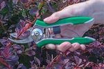 Dramm Bypass Pruner, Cuts 5/8-INCH Diameter, Stainless Steel Blade, Green. Fixed Price $18.95.