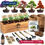 Avergo Bonsai Kit Classic - 5X Unique Japanese Bonzai Trees Complete Indo. Fixed Price $62.48.