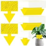 Qualirey 100 Pcs Fruit Fly Traps For Indoors Dual Sided Fungus Gnat Killer.... Fixed Price $28.58.