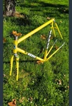 Rare Zeus Super Ser Criterium Frame 52X54 Steel Bike Reynolds 531 Eroica 2000. Fixed Price $799.00.
