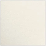 Luxpaper 12X12 Quartz Metallic Cardstock 105LB Cover 50 Sheets. Fixed Price $107.26.