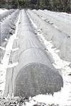 AGFABRIC-0.55OZ Floating Row Crop Cover/frost Blanket /garden Plant. Fixed Price $28.58.