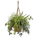 Nearly Natural 30IN. Wandering Jew & Spider Artificial Plant Hanging Basket. Fixed Price $90.48.