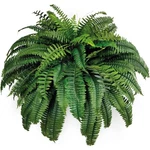 One 48 Inch 88 Branch Artificial Boston Fern Bush Plant Arrangement. Fixed Price $59.68.
