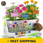 Dan&darci Paint Plant Flower Growing Kit Ages 5-12. Fixed Price $38.99.